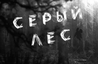 Скачать полную книгу «Серый лес» Ри Гува бесплатно в формате fb2(фб2), epub(епаб)